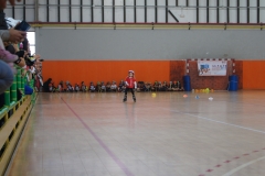 SONY DSC