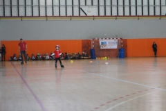 SONY DSC