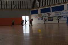 SONY DSC